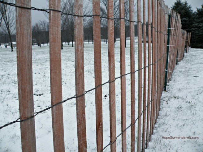 SnowFence.Filter.HS.Compressed.