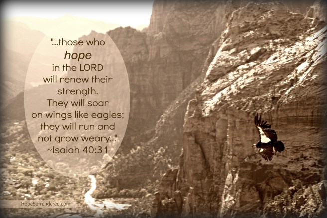 Zion Condor.5.6MB.Verse.Sepia