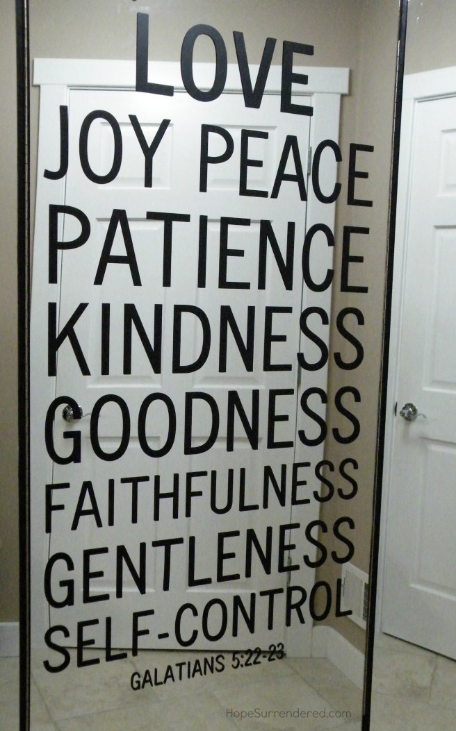 FruitSpirit.Mirror.HS